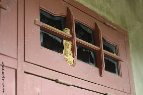 a close-up of a wasp nest in a house window