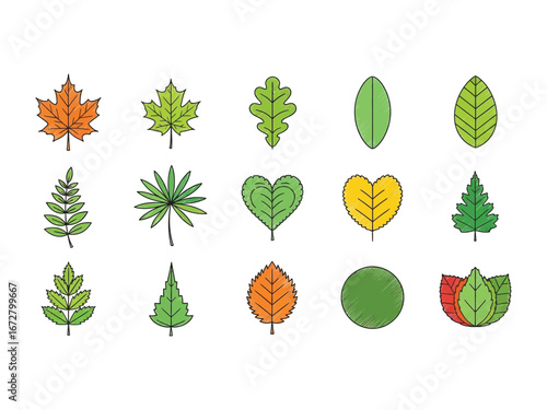 Botanical Variety: A colorful array of hand-drawn leaf illustrations showcases a vibrant collection of leaf, botanical diversity, each leaf representing the beauty of nature and foliage