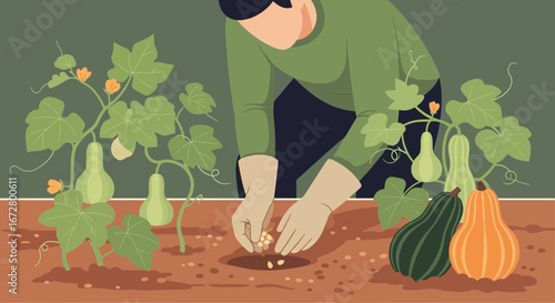 Cultivating Autumn Bounty A Person Sowing Seeds For Squash Harvest