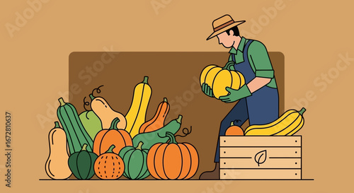 Farmer Carefully Harvests a Bountiful Crop of Gourds and Pumpkins in Autumn