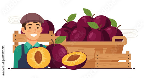 Farmer Displaying Fresh Harvested Plums From Rustic Wooden Crates For Sale