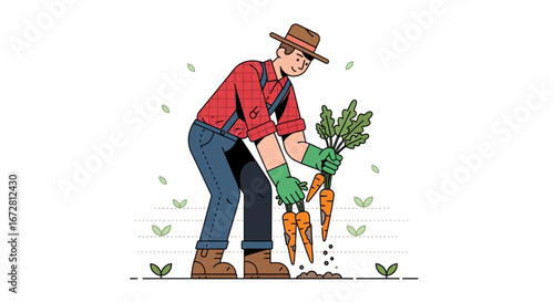 Farmer Harvesting Carrots: A Vector Illustration of Rural Life and Fresh Produce