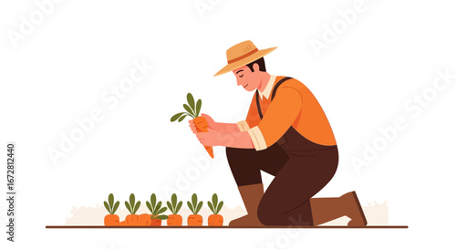 Farmer Harvesting Carrots In A Field Depicts Agricultural Work And Sustainable Farming Practices