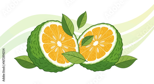 Fresh Citrus Fruits: Vibrant Bergamot Halves Adorned With Green Lush Foliage Illustration