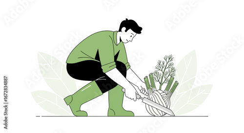 Gardener Carefully Trimming Fresh Fennel Bulb, Perfect for Culinary Illustrations