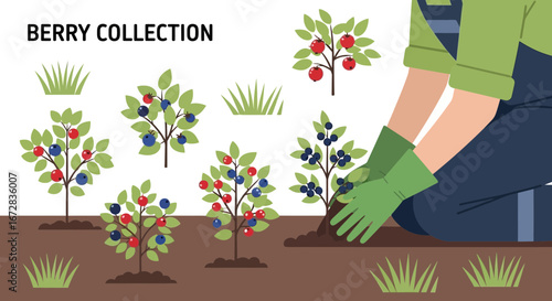 Gardeners Cultivating Berry Bushes in a Simplified Botanical Arrangement