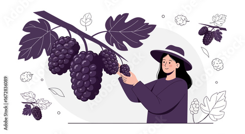 Gathering Ripe Mulberries: A Fresh Harvest Scene Depicting Fruit Picking and Nature