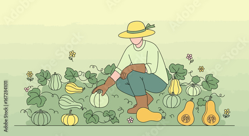 Harvesting Season Depicted With A Gardener Tending To A Patch Of Pumpkins In The Fields