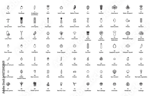 스톡_채소_아이콘