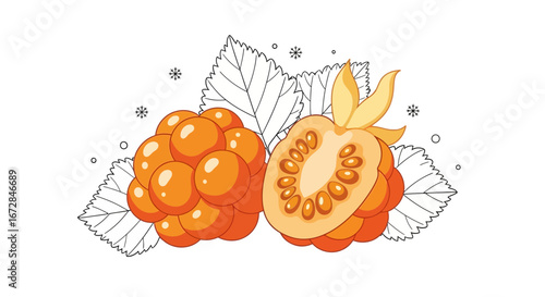 Illustrative Depiction Of Cloudberries With Leaves And Winter Decorations
