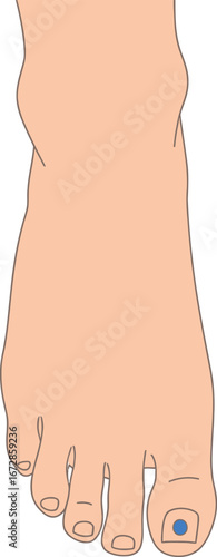 illustration of a man in a shirt