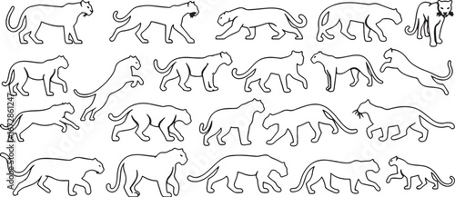 leopard, big cat, feline, animal, wild animal, predator, silhouette, outline, drawing, action, walking, running, jumping, stalking, graceful, powerful, line art, vector, illustration, collection, set,
