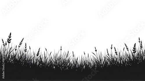 Grass Silhouette Border with White Background for Creative Design