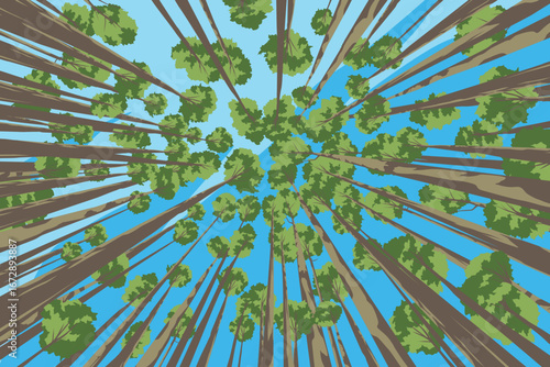 landscape illustration of tropical forest trees