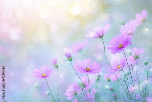 テキストスペース付きのコスモス背景