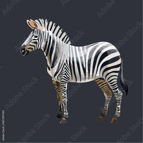 Vector Image: Abstract Isolated Black and White Striped Zebra Portrait on Black Background 20