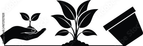 Black and white plant growth silhouette with seedling, mature plant, and empty flower pot, vector illustration for gardening and environment themes