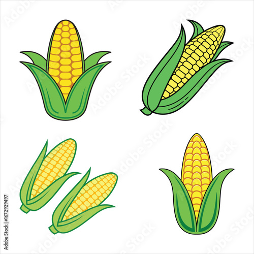 Simple Corn Illustration for Digital Design