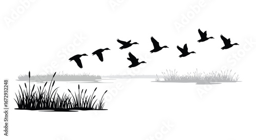 a flock of birds flying over a serene wetland landscape with grasses