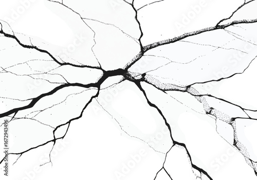 Web