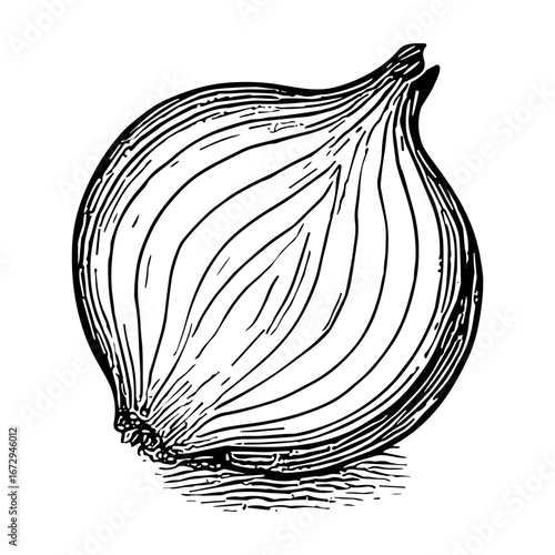 Halved Onion