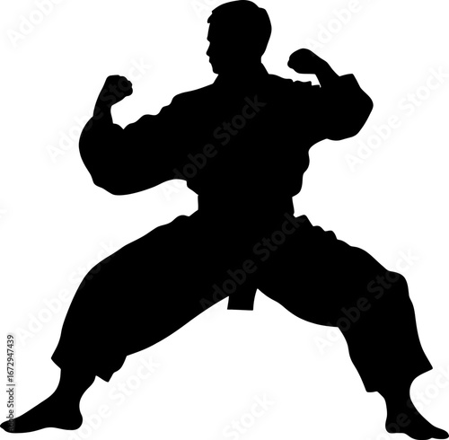 silhouette of a pencak silat athlete action pose