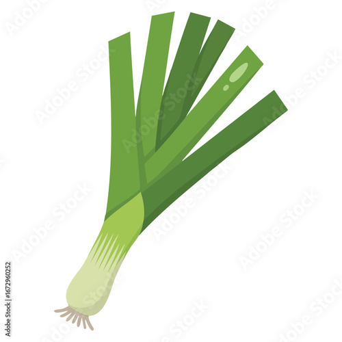 Cartoon flat style leek icon isolated object. Vegetable organic eco bio product from the farm vector illustration perfect for healthy diet and eco food designs.