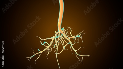 Plants root system. 3d illustration