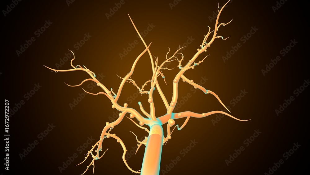 Fototapeta premium Plants root system. 3d illustration