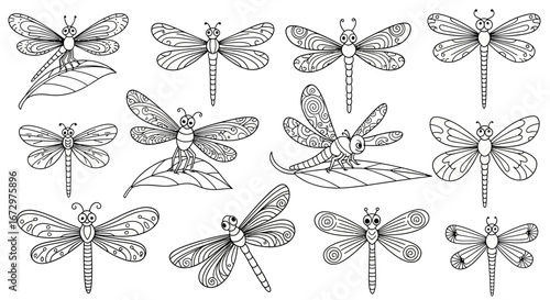 Collection of various dragonflies with detailed wings and bodies on an isolated white background, perfect for a coloring book.