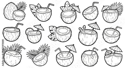 Collection of tropical coconuts, whole, halved, and as refreshing drinks with straws and umbrellas, in black and white outline on an isolated white background.