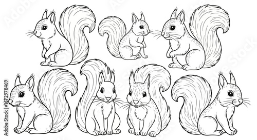 Set of cute cartoon squirrels with bushy tails in various sitting and standing poses, in black and white outline on an isolated white background.