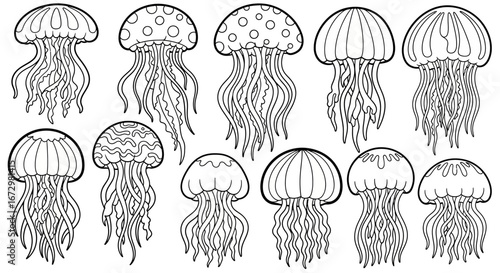 Cartoon Jellyfish Swimming in Ocean, Marine Life Collection, isolated white background