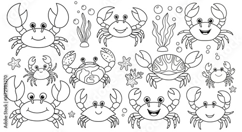 Playful Cartoon Crabs with Seaweed and Starfish in an Underwater Scene, Isolated White Background