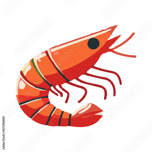 shrimp illustration design