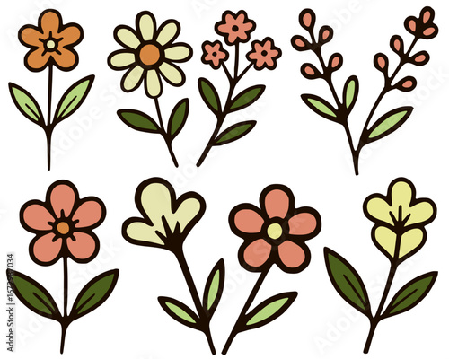 Wildflower set;3 single flowers, two double flowers and a fern; minimalist flat nature design set