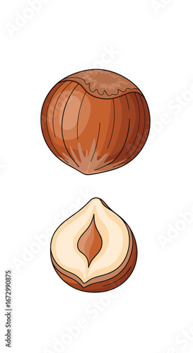 Nutrient rich hazelnut a delicious healthy food source for your diet