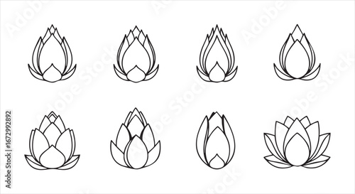 Collection of lotus flower illustrations, isolated on white background, showcasing various stages of bloom and petal arrangements in a minimalist design