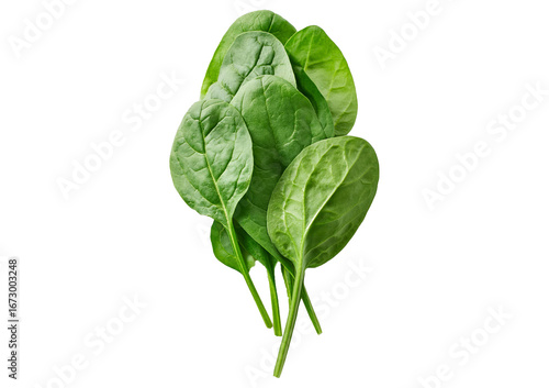 Photos Fresh spinach leaves isolated on transparent or white background