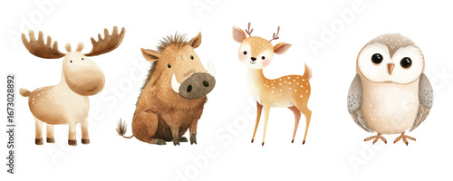 Cute Cartoon Animals  Water Color Illustrator, Moose, Boar, Deer and Owl on White Background