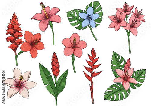Vibrant tropical floral collection with hibiscus ginger and monstera leaves for summer designs. Set of decorative floral doodles elements. Flat cartoon vector illustration.