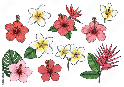 Vibrant tropical flowers and lush leaves create a beautiful exotic botanical collection for design. Set of decorative floral doodles elements. Flat cartoon vector illustration.