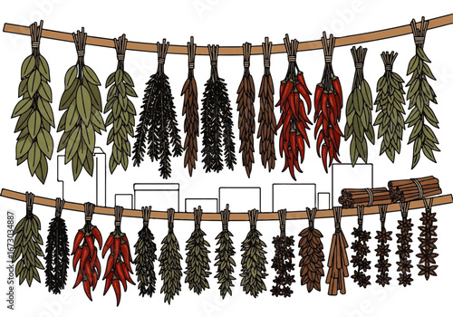 Bundles of herbs and spices drying against a townscape backdrop. Perfect for culinary, food, seasoning, cooking, and herbal concepts.