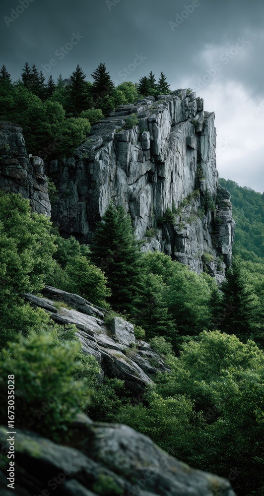 Obraz premium Rugged mountain face, draped in lush greenery. Gray rock, sharp edges, rise above dense forest. Cloudy sky hints at impending weather
