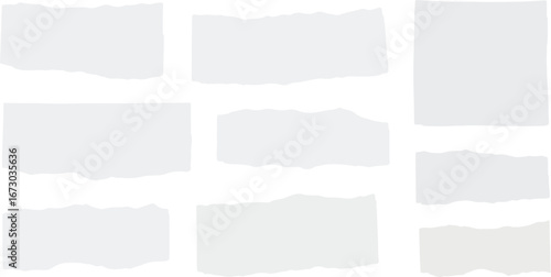 Collection of torn paper pieces with rough edges on white background