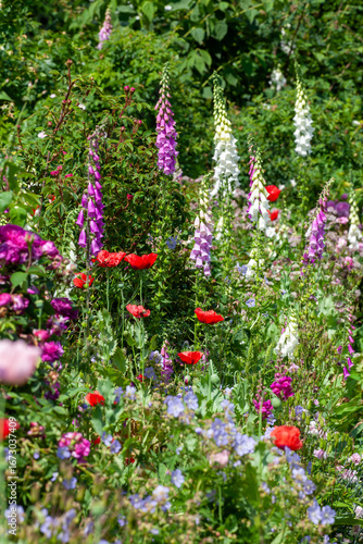 Beautiful summer garden flower bed in England