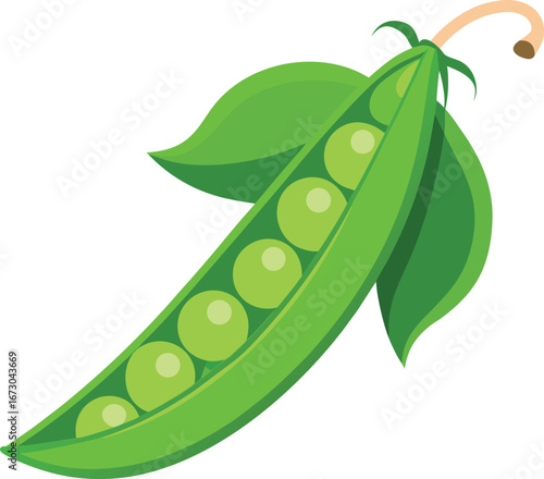Green Peas Image With White Background