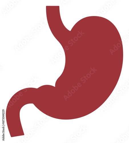 Anatomical illustration of a human stomach in a reddish-brown color, isolated on a white background.