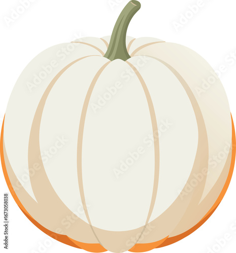 Garlic  Image With White Background