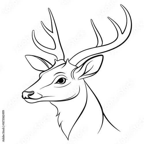 Detailed Black Outline Drawing of a Stag's Head in Profile deer